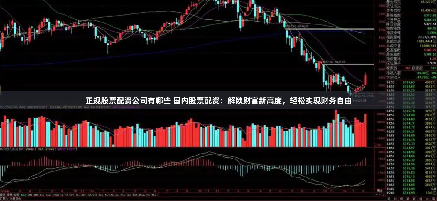 正规股票配资公司有哪些 国内股票配资：解锁财富新高度，轻松实现财务自由